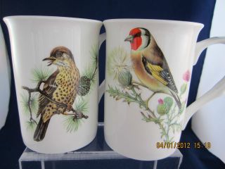 GRACIE Bone China set of 2 coffee or tea cup beautiful birds 4 Tall x 