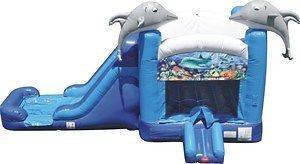New Commercial Inflatable Bounce House Water Slide Combo Jump Dolphin 