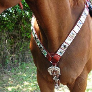rhinestone horse tack in Bridles, Headstalls