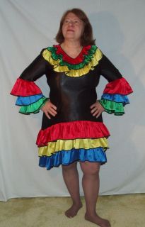 Adult Female Calypso Costume   Brazilian Dancer   Size 14/16