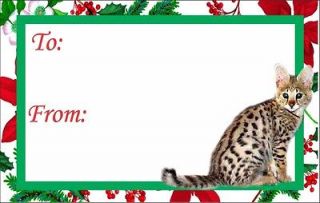 12 Savannah Kitten or Cat Christmas Gift Tags