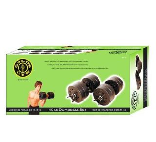 Golds Gym 40 lb Vinyl Dumbbell Set home lifters full body workout 