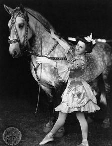   Female bareback rider in costume with horse. A Circus girl / Glas b1