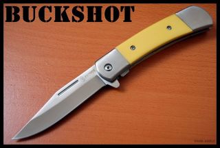 BUCKSHOT Stainless Steel Spring Assisted open Pocket Knife *NEW*