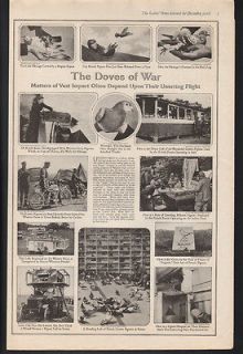 1918 CARRIER PIGEON COMMUNICATION FRANCE LOFT PLANE CODE MESSAGE 
