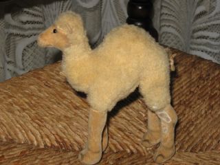 Old Antique Steiff Woolen Dromedary Camel 1953 1958 14cm No ID