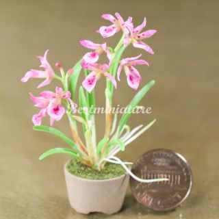   Brassavola Nodosa Orchid Dollhouse Miniature Clay Flower Garden 112 P