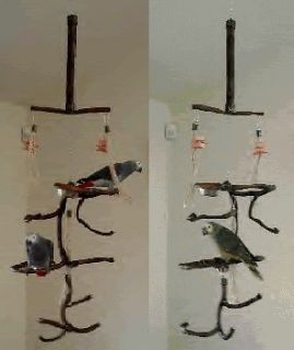 HANGING PARROT GYMS PLAY TREE SWING STAND CAGE BIRD TOYS eclectus 