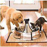 Newly listed Stainless Steel Drinkwell 360 Pet Fountain