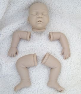 Hot Sale lifelike reborn baby doll kit  soft vinyl DK 9