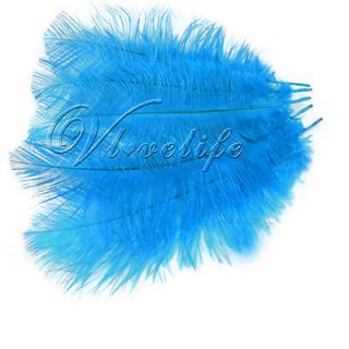 10PCS Turquoise Ostrich Feathers approx 10 12 25 30cm