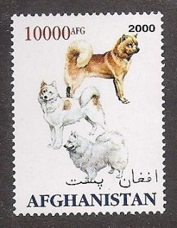 Dog Art Postage Stamp AMERICAN ESKIMO FINNISH SPITZ SAMOYED 