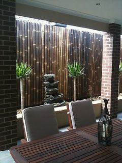 Bamboo Fence Panels, Privacy Screens & Fencing   2m (H) X 1m (W)   NO 