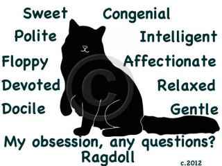 Ragdoll Cat My Obsession, Any Questions? T shirt Our Original Design