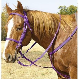 Bridle Headstall Noseband Breast Collar Reins Tack Set 6 Colors NEW
