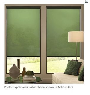 roller shades in Blinds & Shades