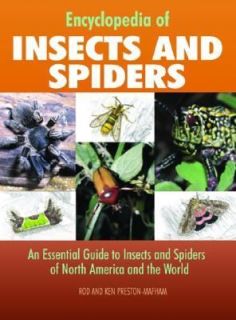  of Insects and Spiders An Essential Guide to Insects and Spiders 