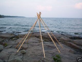 Poles for a 10ft/3.3meter Lavvu (tipi/tepee/yu​rt/ger)