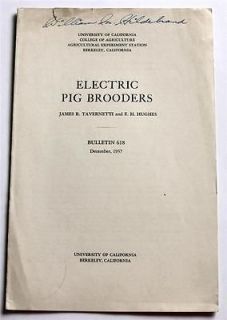 Electric Pig Brooders 1937 by James R. Tavernetti Swine Hogs 
