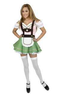   Swiss Alps Girl Bavarian Beer Garden Dress Up Halloween Adult Costume