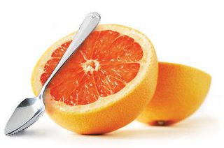 NEW SERRATED GRAPEFRUIT SPOONS SET OF 2 STAINLESS STEEL