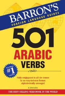 501 Arabic Verbs by Raymond Scheindlin 2007, Paperback