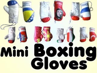 Mini boxing gloves of country flags, other flags for carry, decor 