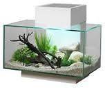 Pet Supplies  Aquarium & Fish  Aquariums