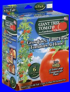 Gardeners Choice Giant Tomato Tree As Seen On TV 6 Pre Seeded Pots