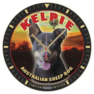 australian sheep dogs