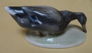 ROSENTHAL Karl HIMMELSTOSS MALLARD DUCK ALONE Bird Head Down Porcelain 