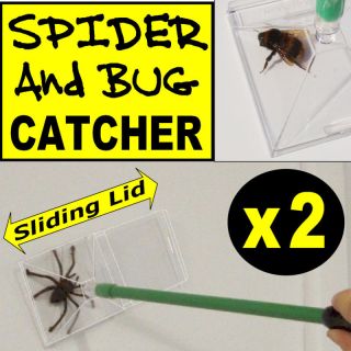   BUG Humane Spider Bug Wasp Bee Fly Crawling Insect Trap Catcher