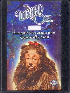 WIZARD OF OZ 2006 HCLL COSTUME PROP LION HAIR CARD B