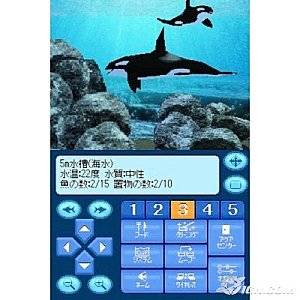 Fantasy Aquarium Nintendo DS, 2008