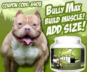 Bully Max Vitamin & Muscle Supplement Pit Bull Dogs