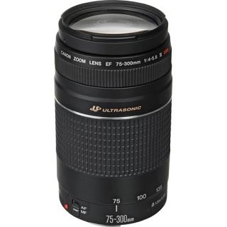 Canon EF 75 300mm F 4.0 5.6 III USM Lens