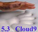 Newly listed 5.3 CLOUD9 TWIN XL 2 MEMORY FOAM BED TOPPER WITH COVER