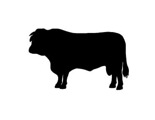BLACK ANGUS BULL metal steel not painted 7 inch USA silhouette