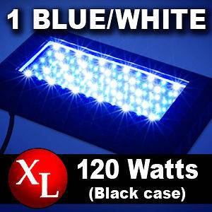 New 2012 Pro 120w LED Aquarium Coral Reef Fish Tank Light Blue White 