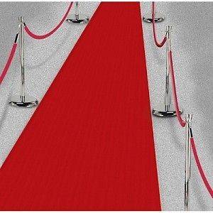 RED CARPET PARTY RUNNER ,VIP ,WEDDING,HOLLYWOOD PARTY ACCESSORY 2ft x 