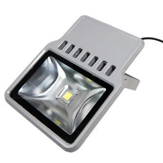 Waterproof 120V 100W LED Flood Light Day White Light Lamp LEF120V100DL 