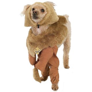 Cowardly Lion Wizard of Oz Dog Doggy Halloween Pet Costume