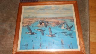 RICHARD E BISHOP FRAMED RUDDY DUCK S PRINT 16in BY 14in