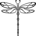 Dragonfly Sticker Car/Bike *Available in Different Colours*