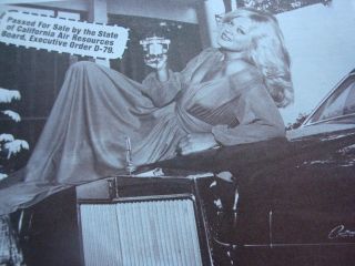 Malpassi Filter King Press Release Featuring 70s Blonde Hottie (Fits 