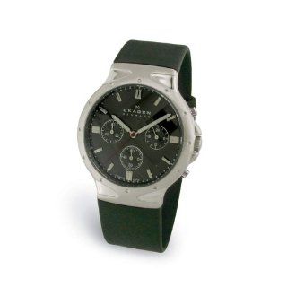 Skagen Mens Titanium Watch #489LTRM: Watches: 