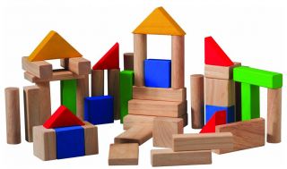 Plan Toys Blocks (50 pcs)   