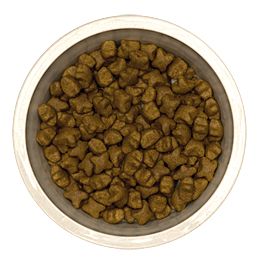 Royal Canin German Shepherd 24 Dry Dog Food   1800PetMeds