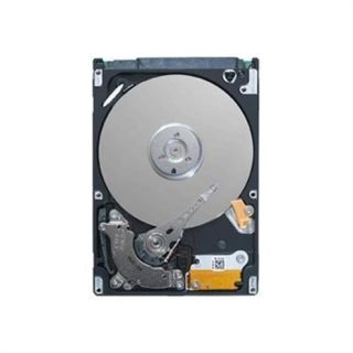 Seagate Momentus SpinPoint ST1000LM024   hard drive   1 TB   SATA 300 