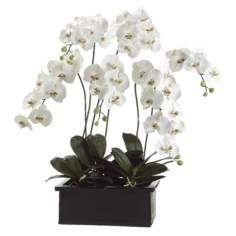 White Orchids in Terra Cotta Pot Faux Flower Arrangement
